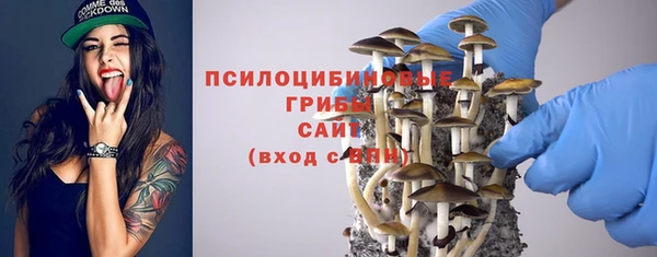 эйфоретик Инта