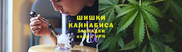спиды Инсар