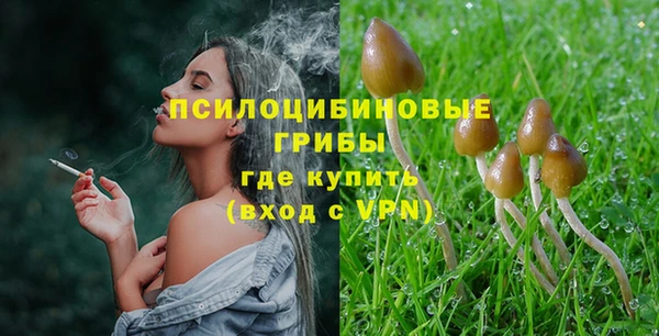 винт Каменск-Шахтинский