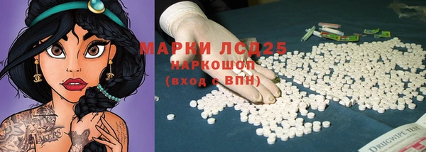 спиды Инсар